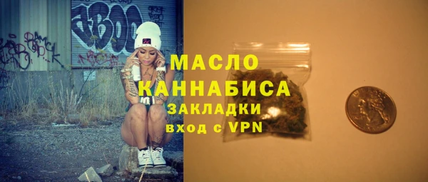 гидра Надым