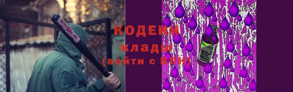 гидра Надым