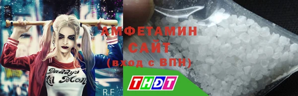 гидра Надым