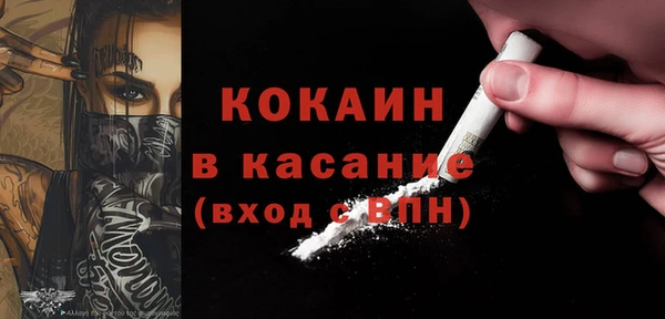 гидра Надым