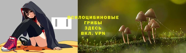 амф Верея