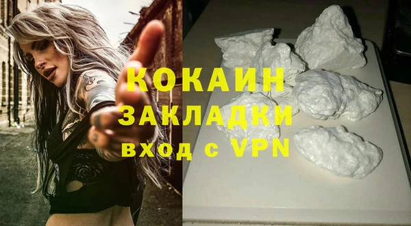гидра Надым