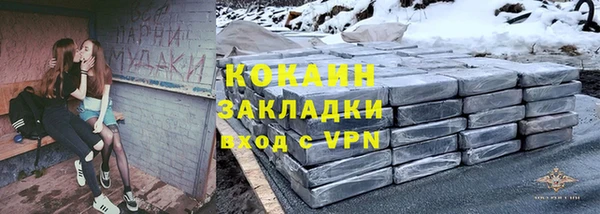гидра Надым