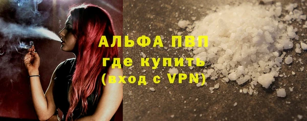 гидра Надым