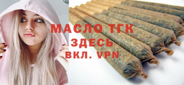 гидра Надым