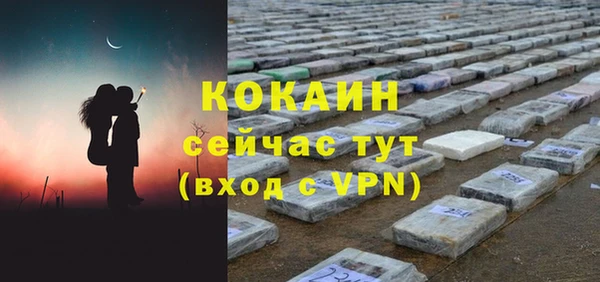 гидра Надым