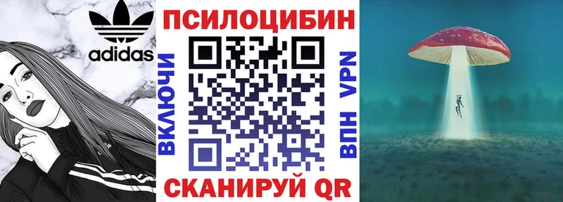 дарнет шоп  Болотное  Галлюциногенные грибы Psilocybe 